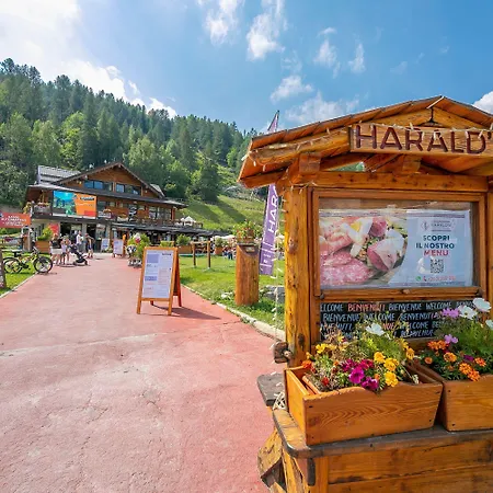 Villa L Aquila Campo Smith On The Slopes Bardonecchia